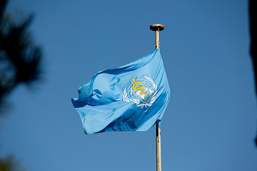 Flag of the World Heath Organization. Image by Eric Bridiers via United States Mission Geneva Flickr: https://www.flickr.com/photos/41916075@N06/6946430257